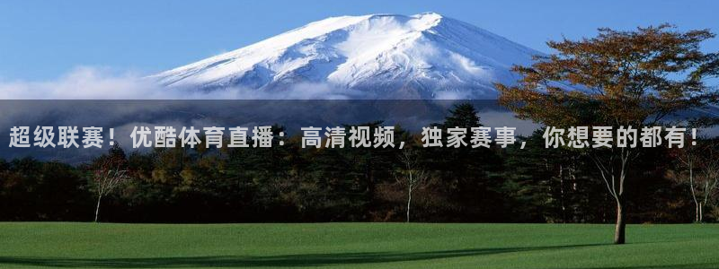 玩球直播在线观看免费观看：超级联赛！优酷体育直播：高清视频，独家赛事，你想要的都有！