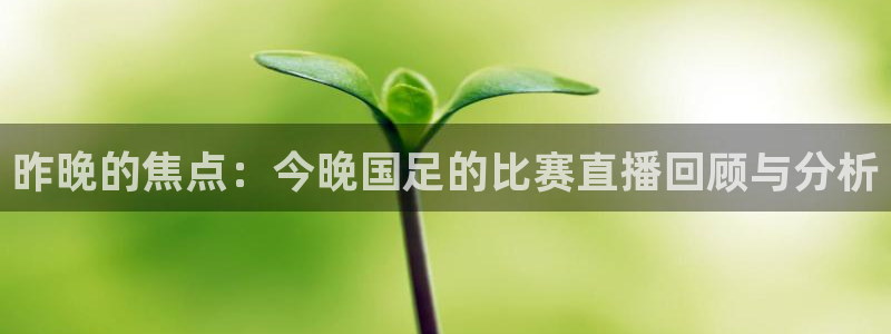 玩球nba直播：昨晚的焦点：今晚国足的比赛直播回顾与分析
