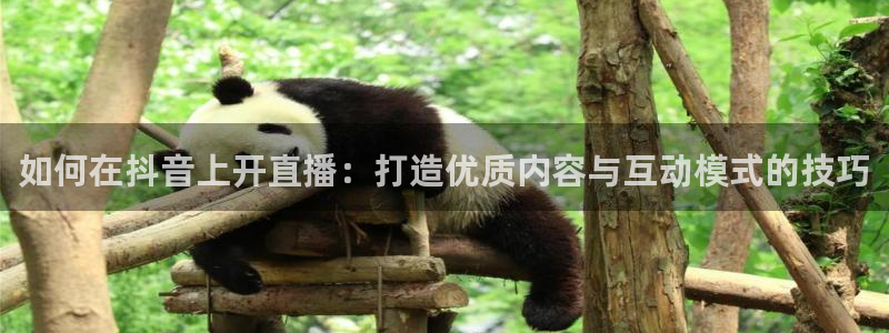 玩球直播免费高清在线：如何在抖音上开直播：打造优质内容与互动模式的技巧