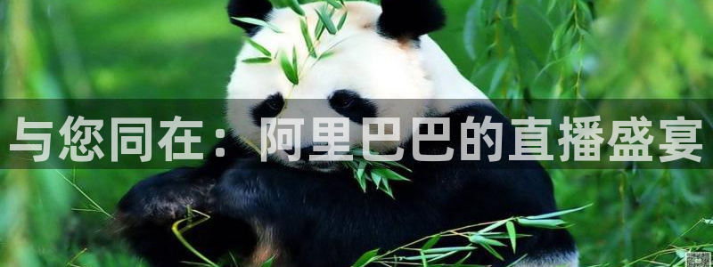 玩球直播在线观看：与您同在：阿里巴巴的直播盛宴