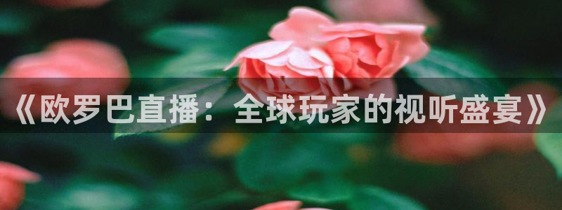 玩球直播最新版：《欧罗巴直播：全球玩家的视听盛宴》