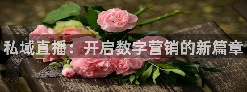玩球直播下载ios：私域直播：开启数字营销的新篇章