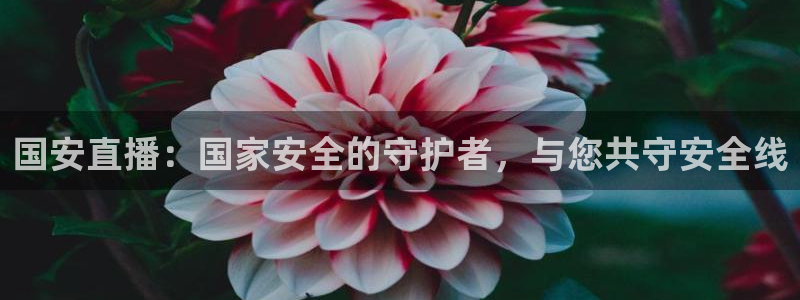 玩球直播网站：国安直播：国家安全的守护者，与您共守安全线