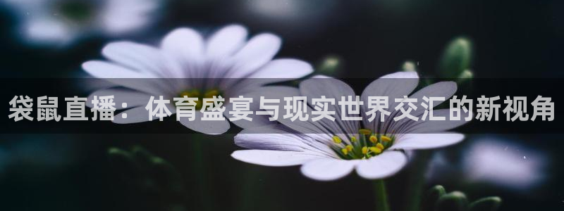 玩球直播官网nba直播：袋鼠直播：体育盛宴与现实世界交汇的新视角