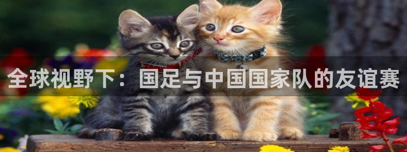 玩球直播app：全球视野下：国足与中国国家队的友谊赛