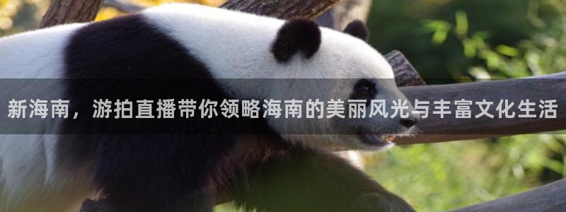 玩球直播app官方版下载：新海南，游拍直播带你领略海南的美丽风光与丰富文化生活