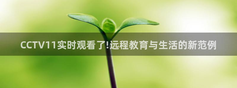 玩球直播官网下载：CCTV11实时观看了!远程教育与生活的新范例