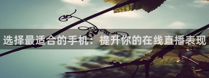 玩球nba直播：选择最适合的手机：提升你的在线直播表现