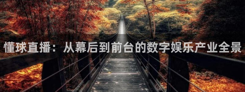 wqzb玩球直播：懂球直播：从幕后到前台的数字娱乐产业全景