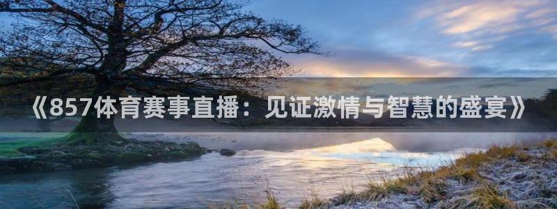玩球视频：《857体育赛事直播：见证激情与智慧的盛宴》