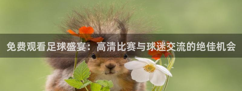 玩球体育app：免费观看足球盛宴：高清比赛与球迷交流的绝佳机会